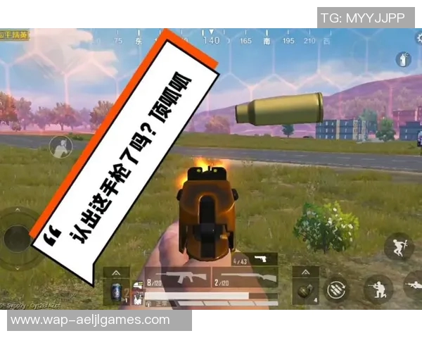 聚焦和平精英BLG团队协作的成功之道与战术分析